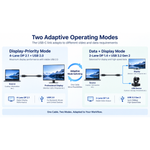 Adaptive 4-lane display and 2-lane data plus display modes